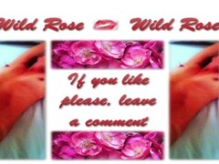 Hot wife Wild Rose has anal fun Thumb