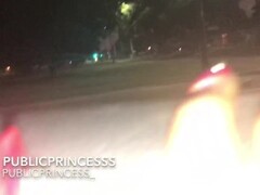 A walk in the park Jerkin in front of your house (TS PublicPrincess) Thumb