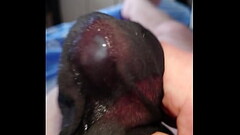 Notgeil im alten Feinstrumpf Thumb