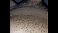 paja 3 Thumb